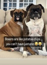 AbbieMarie & Alaya Bay