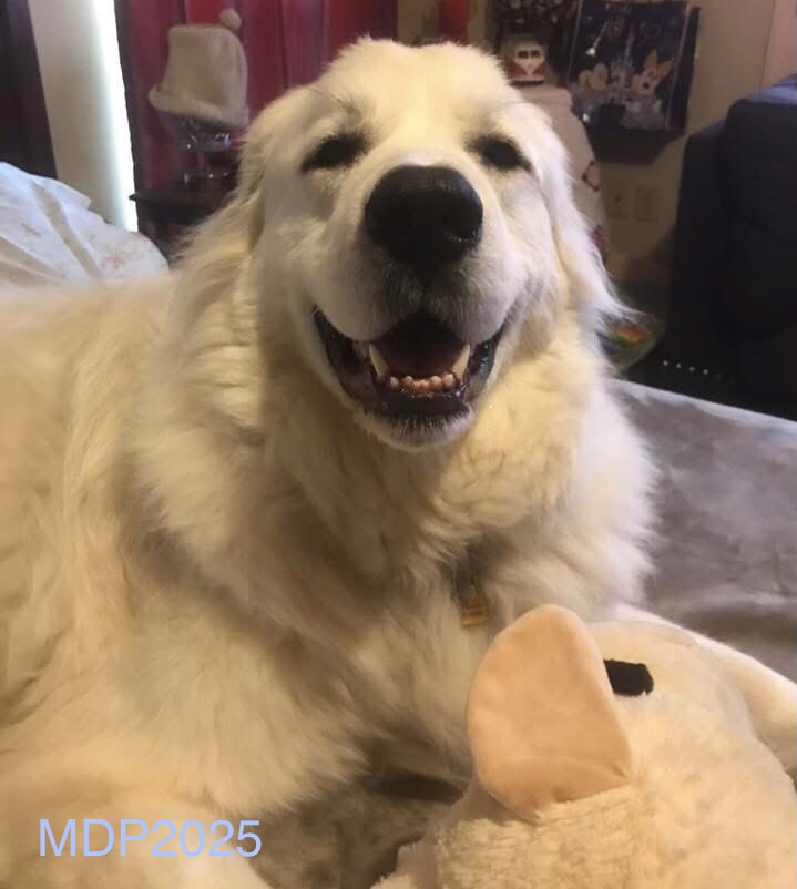 Duke