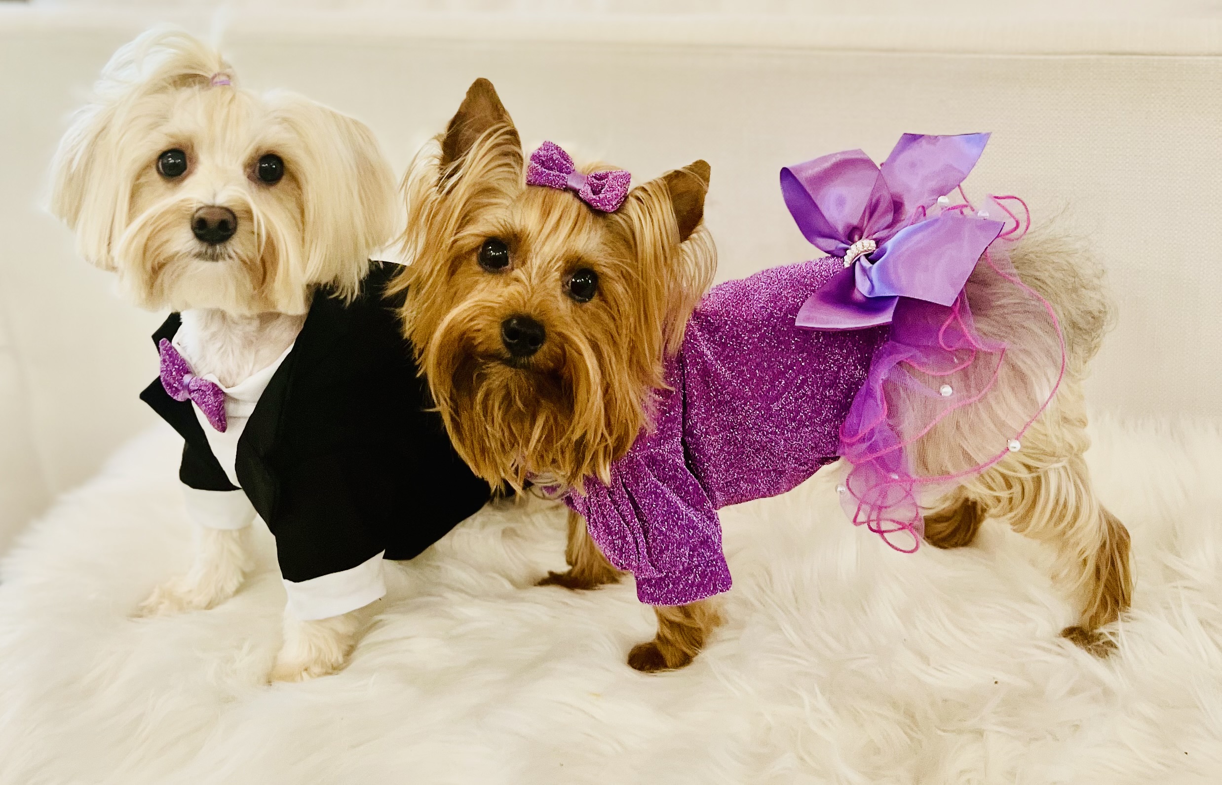 Bella & Bentley