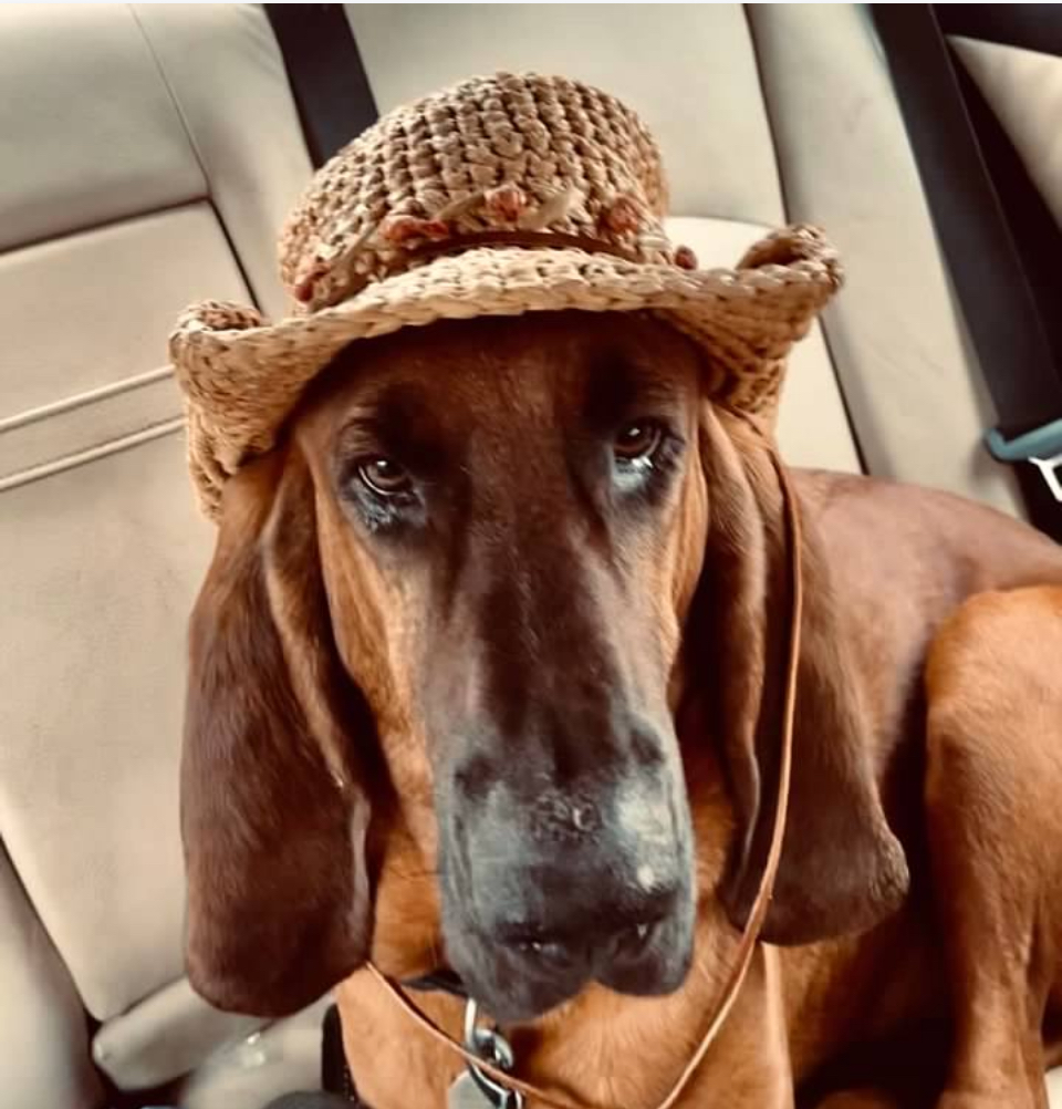 Bogey