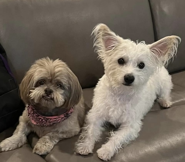Baylee and Buster