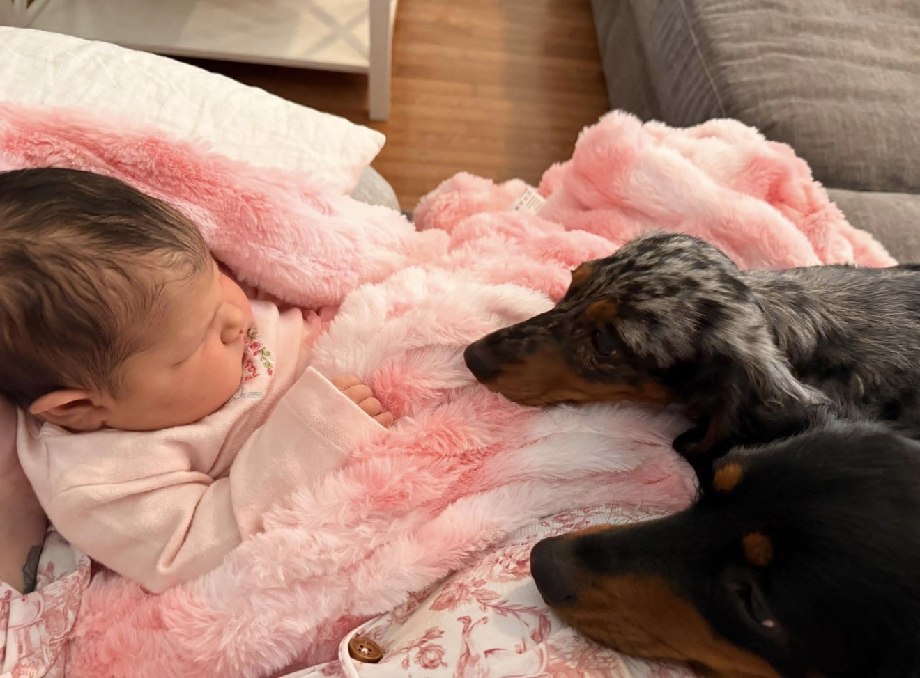 Dolly & Lola
