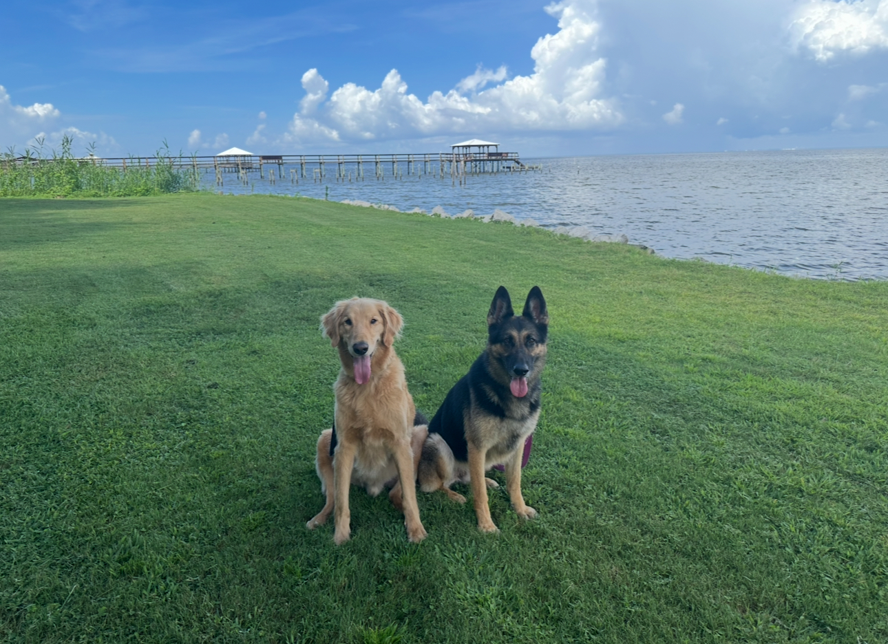 Oscar & Eva