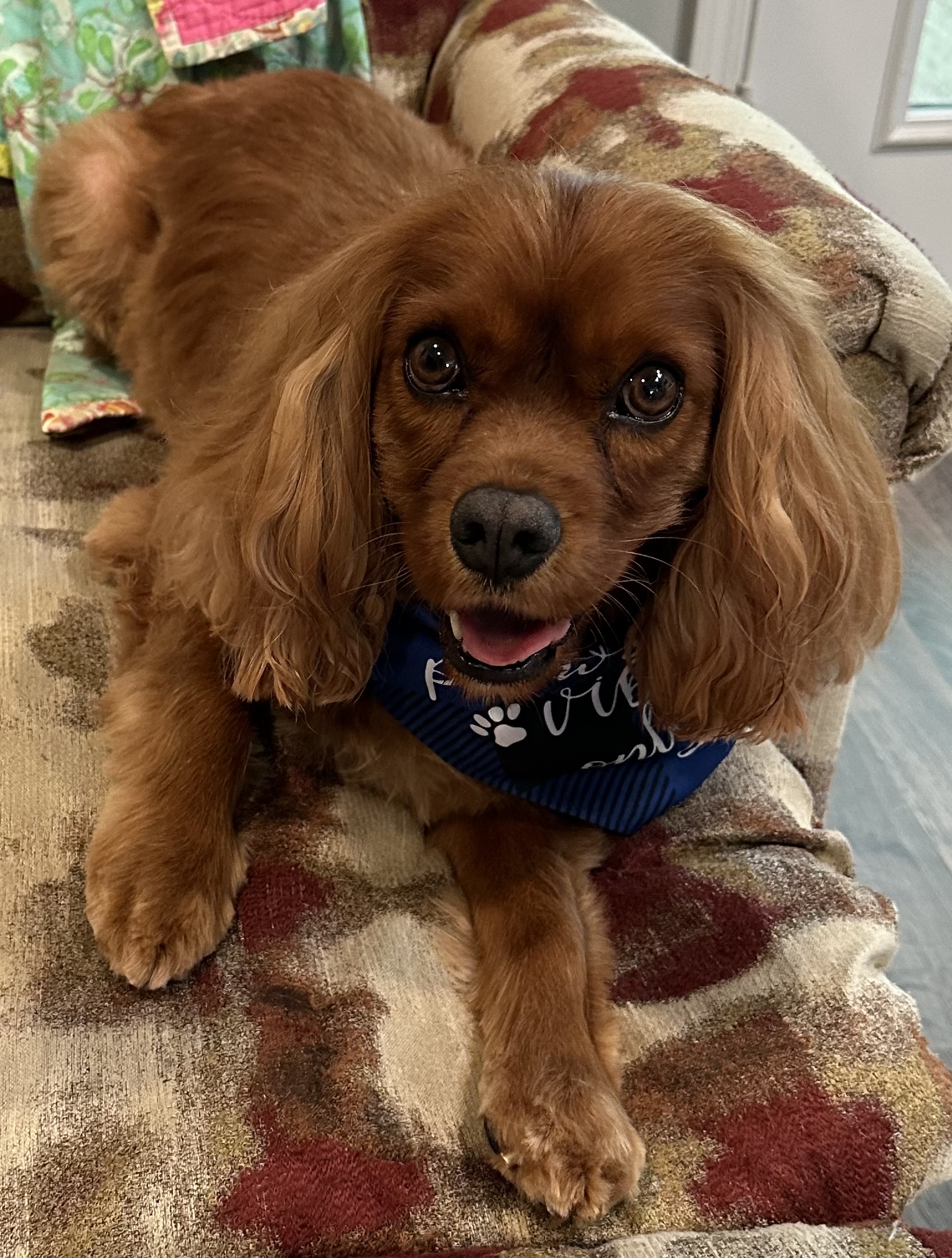 Tucker