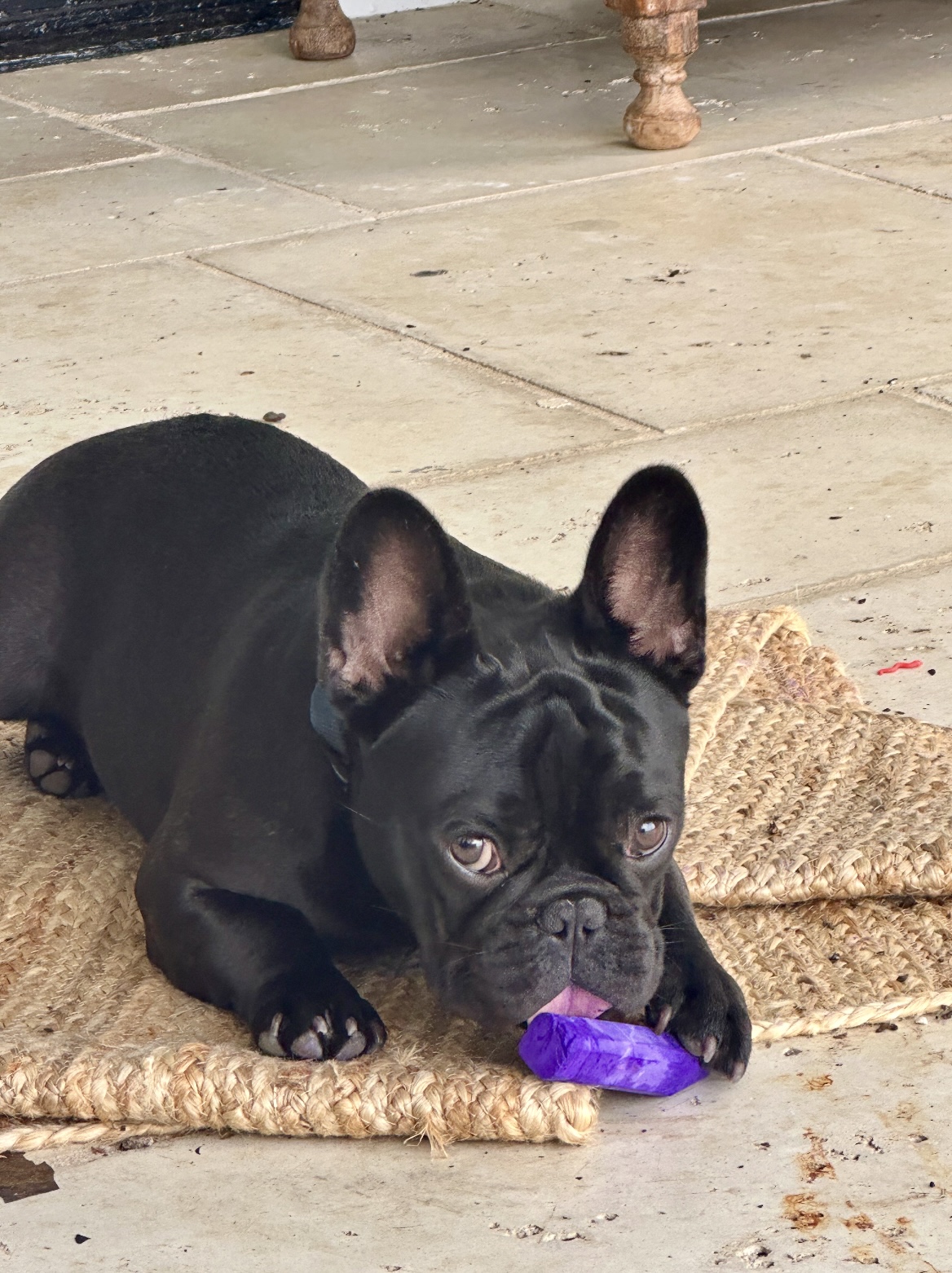 Musa aka “Moose”