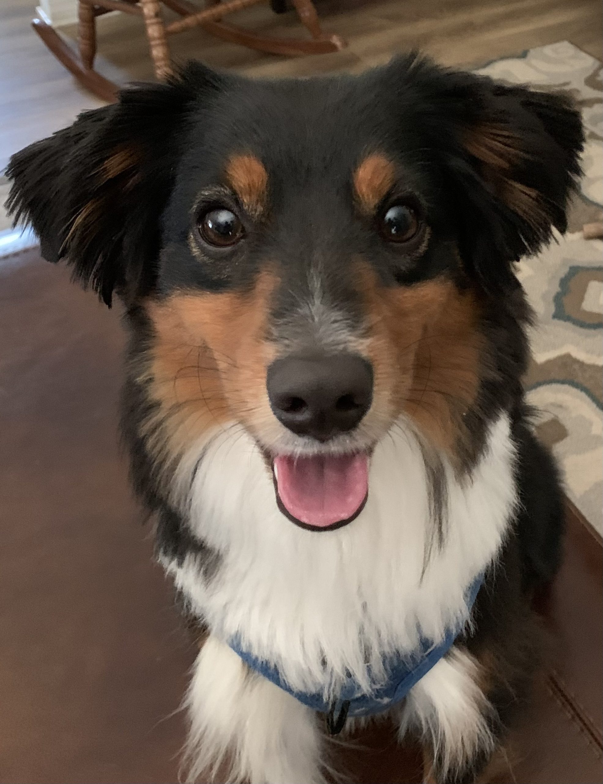 Cooper