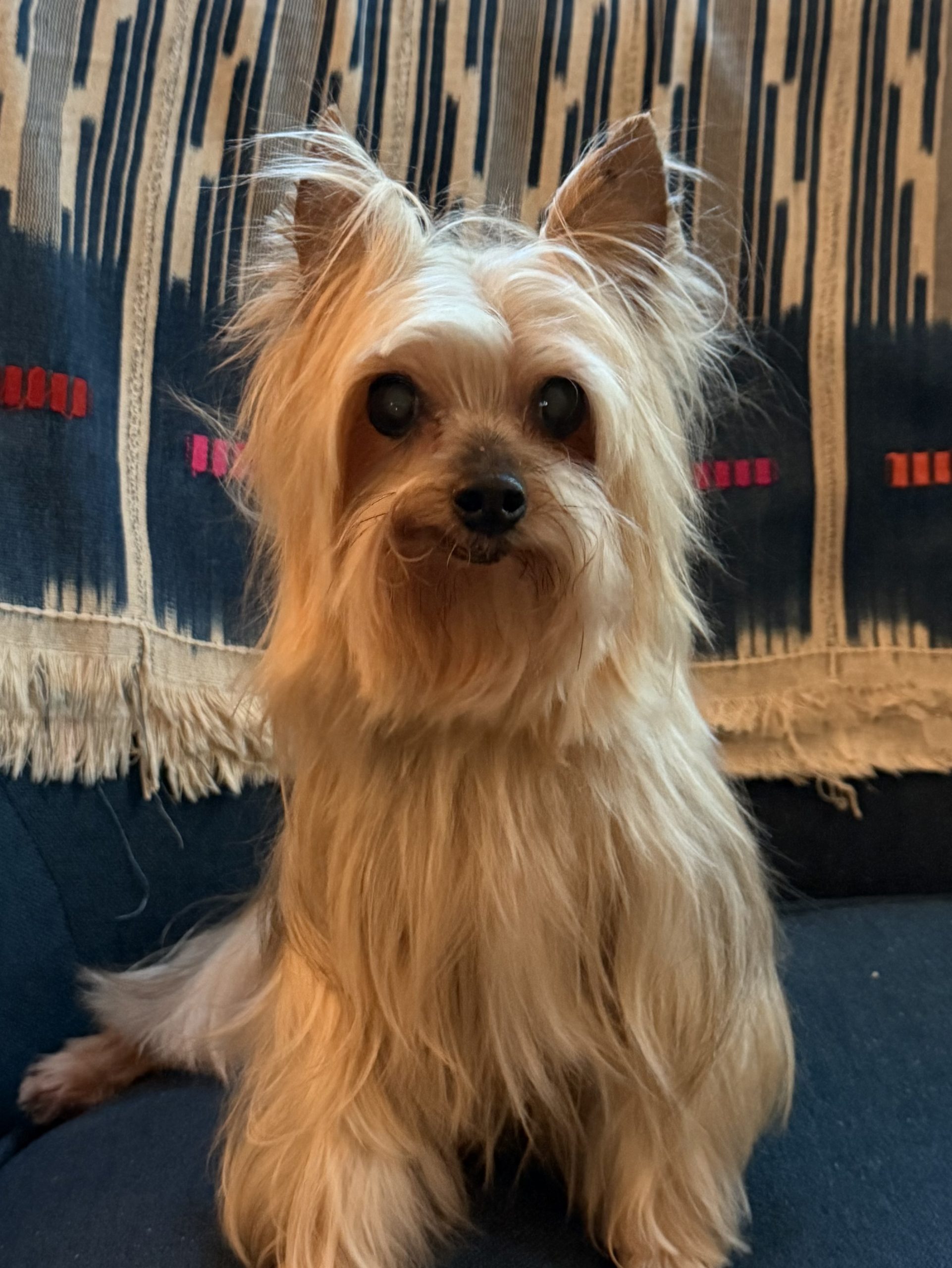 Roscoe