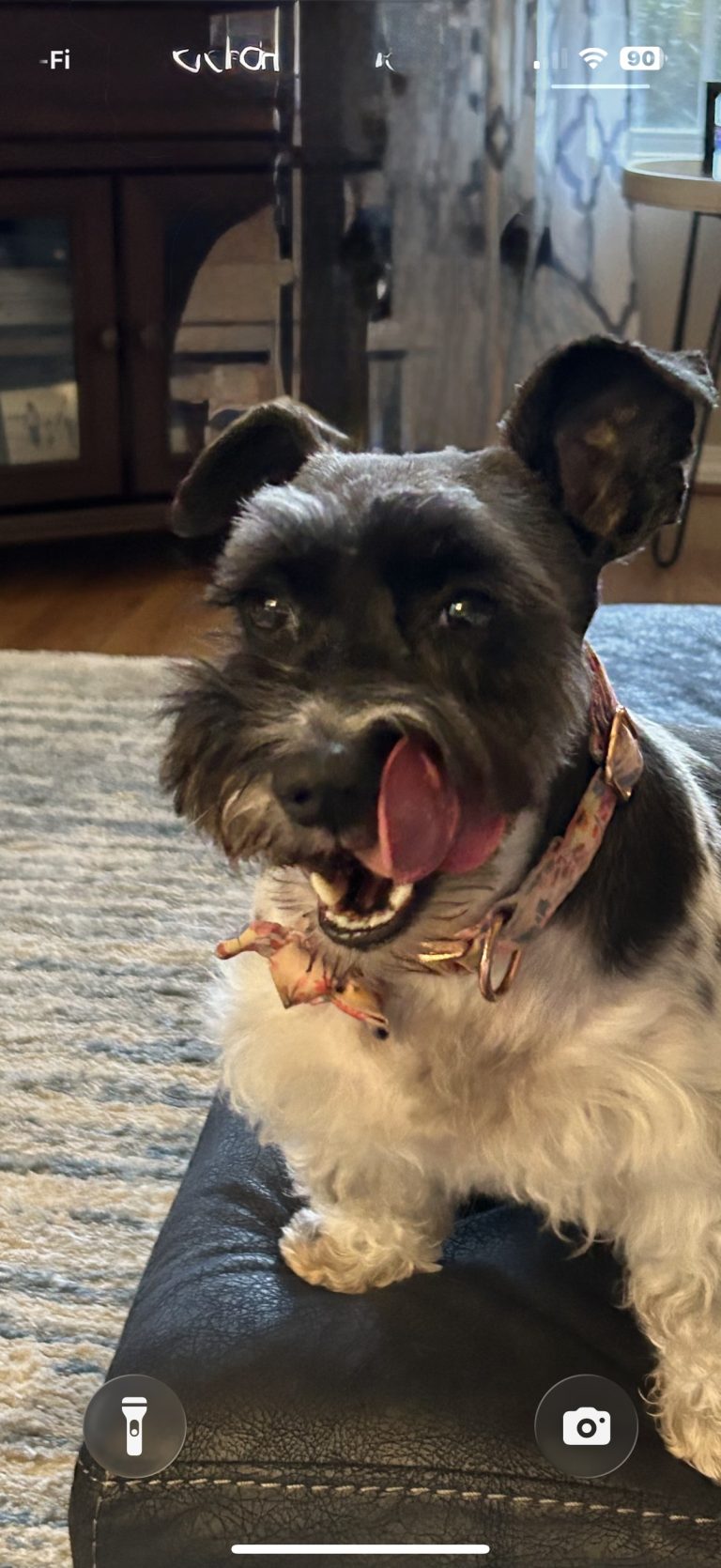 Lucy