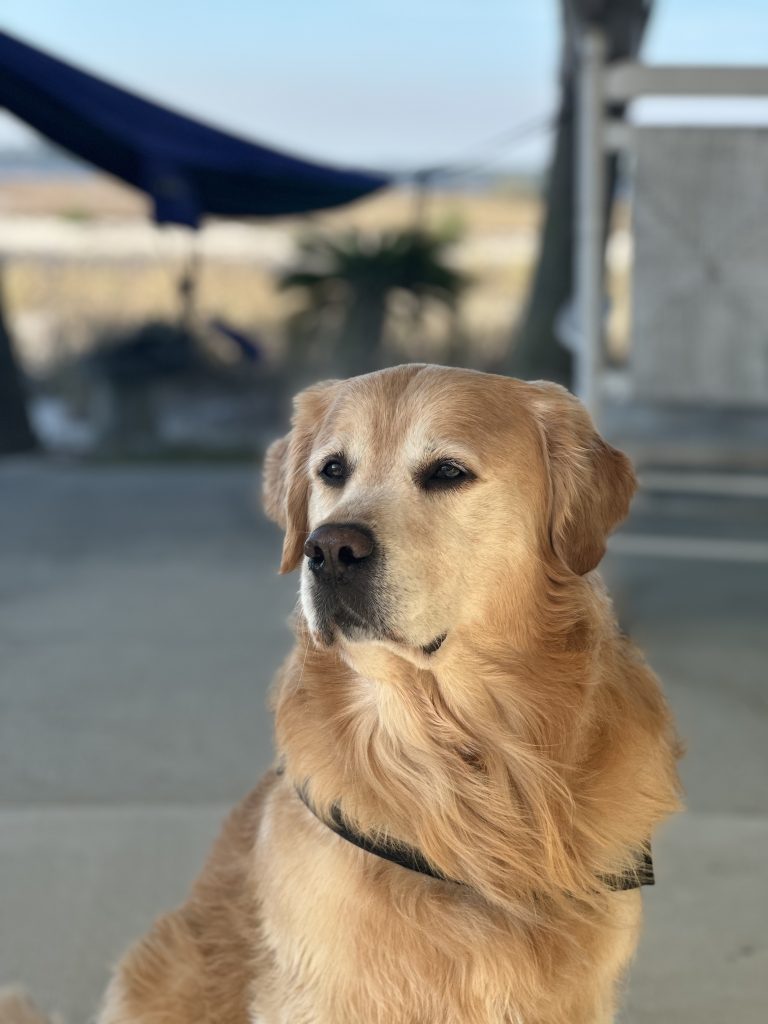 Duke