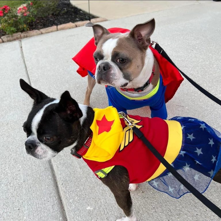 Moxie & Loki