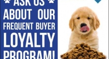 The Waggy Tail