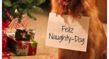 The Waggy Tail